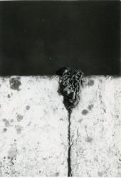 1970