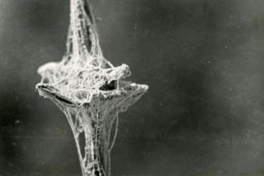 1970