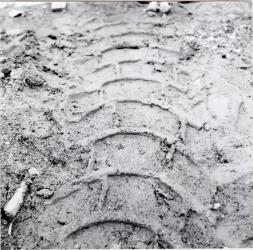 1960